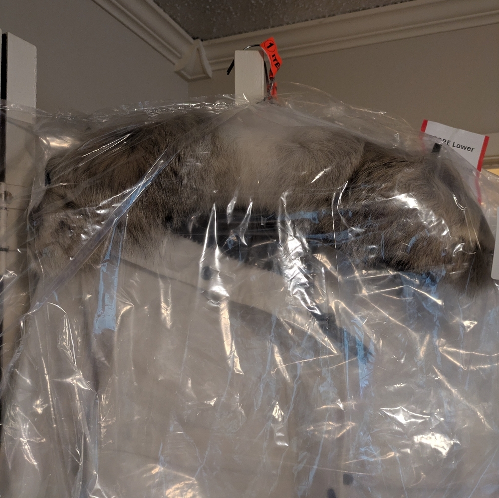 Canada Goose white Shelburne parka xl - Picture 4 of 10